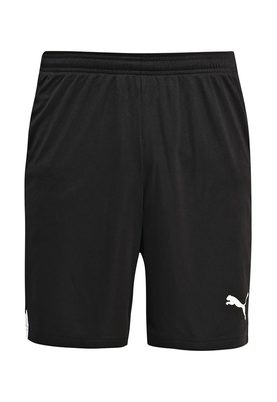 Puma   ftblTRG Shorts