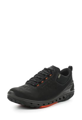 Ecco  BIOM VENTURE