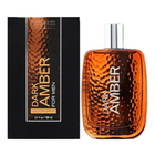 Bath and Body Works Dark Amber