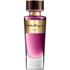 Salvatore Ferragamo Tuscan Soul Calimala